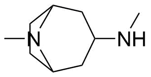 Atropine Impurity 15 Structure