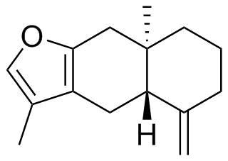 Atractylon Structure