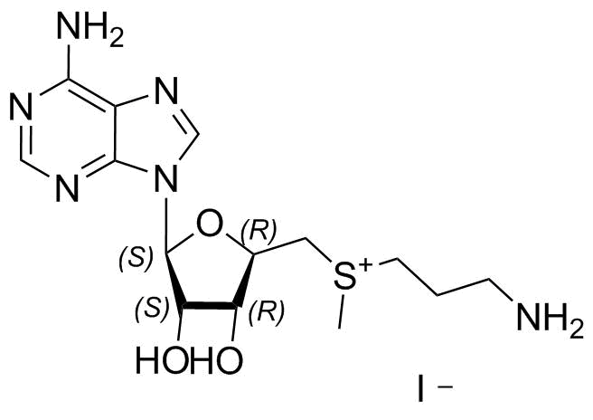 Adenosine Impurity 50 Structure