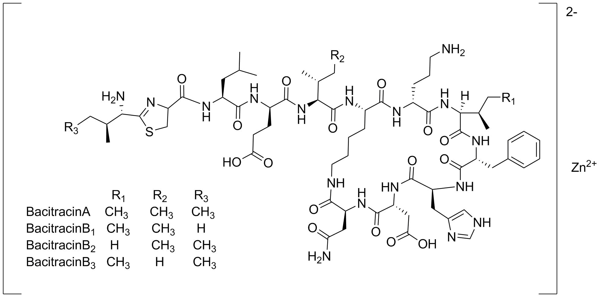 Bacitracin Zinc Structure