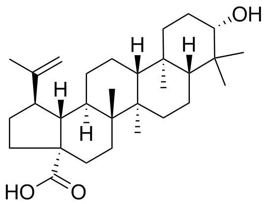 Betulinic Acid Structure