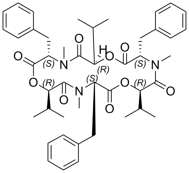 Beauvericin Structure