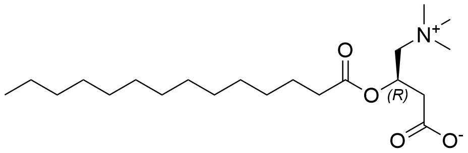 Myristoyl-L-Carnitine Structure