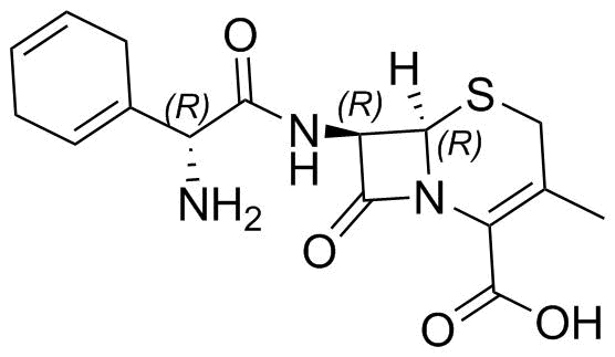 Cefradine Structure
