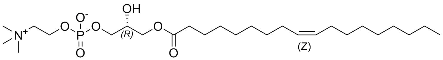 1-Oleoyl-Sn-Glycero-3-Phosphocholine Structure
