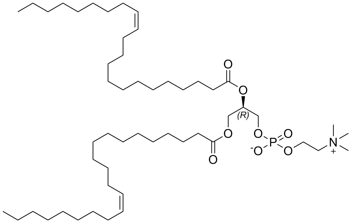 1,2-Di(Cis-13-Docosenoyl)-Sn-Glycero-3-Phosphocholine Structure