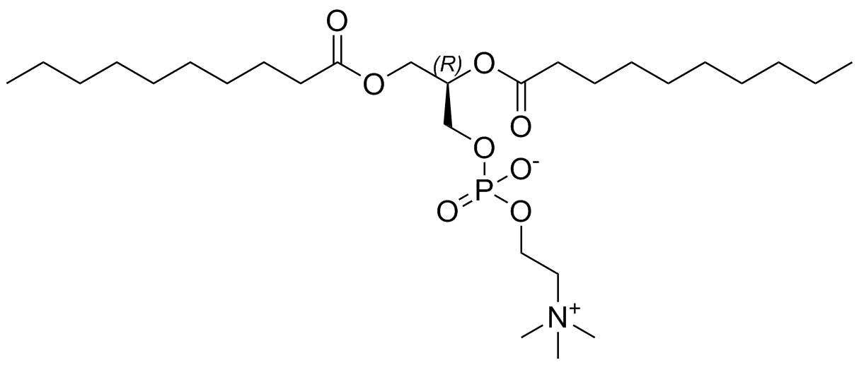 Didecanoyl-L-α-Phosphatidycholine Structure