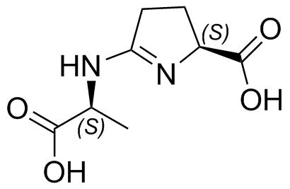 (S)-5-(((S)-1-Carboxyethyl)Amino)-3,4-Dihydro-2H-Pyrrole-2-Carboxylic Acid Structure