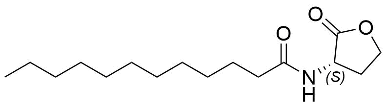 N-Dodecanoyl-L-Homoserine Lactone Structure