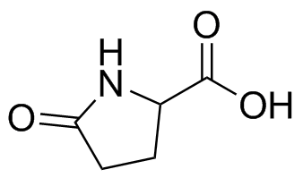 Dl-Pyroglutamic Acid Structure