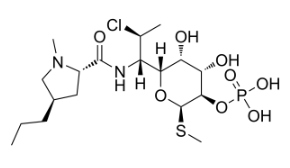 Clindamycin Phosphate