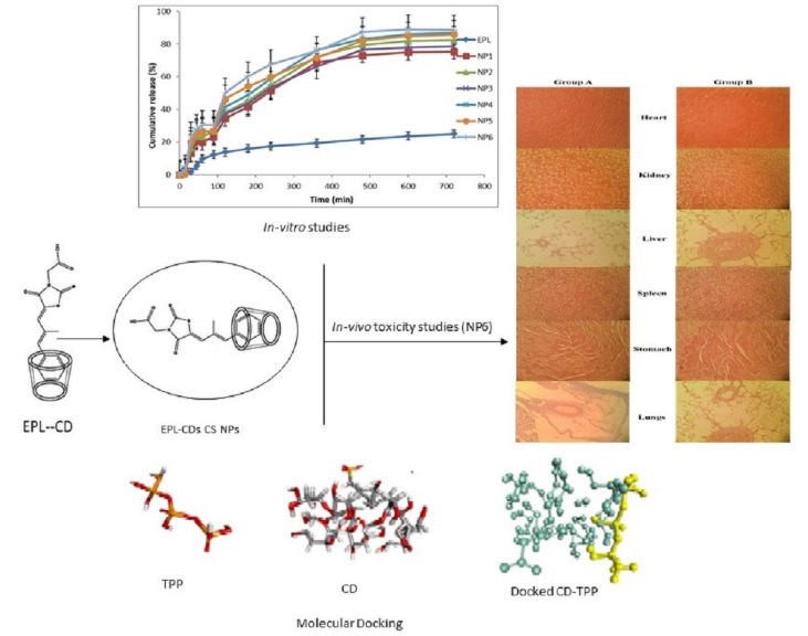 Fig. 2 Nanoparticles loaded with Epalrestat-cyclodextrin inclusion complex. (Alvi Z.; <i>et al</i>. 2021)