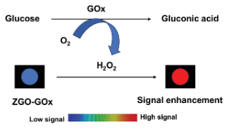 Fig. 2 Principle of glucose detection based on PLS enhancement. (Ferjaoui Z, <i>et al</i>. 2025)