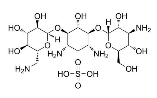 Kanamycin A Sulfate