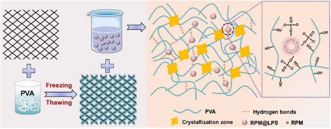 Fig. 1 Polypropylene composite hernia mesh. (Wei D.; <i>et al</i>. 2023)
